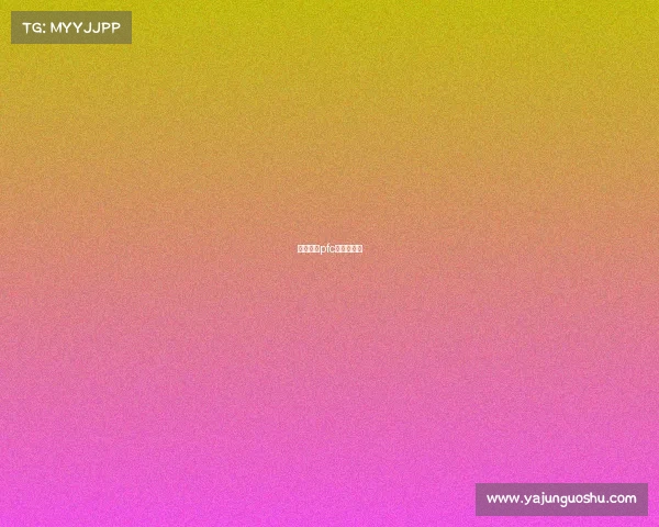 丝路英雄pfc格斗冠军赛